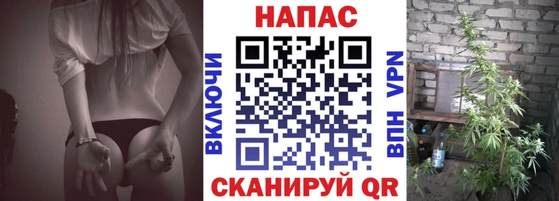 Где можно купить наркотики Ржев COCAIN МЕФ КЕТАМИН МАРИХУАНА Гашиш