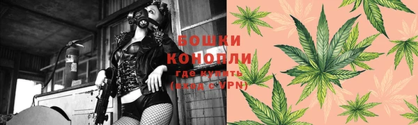 сатива Нефтегорск