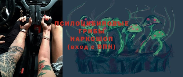молекула духа Нефтекумск