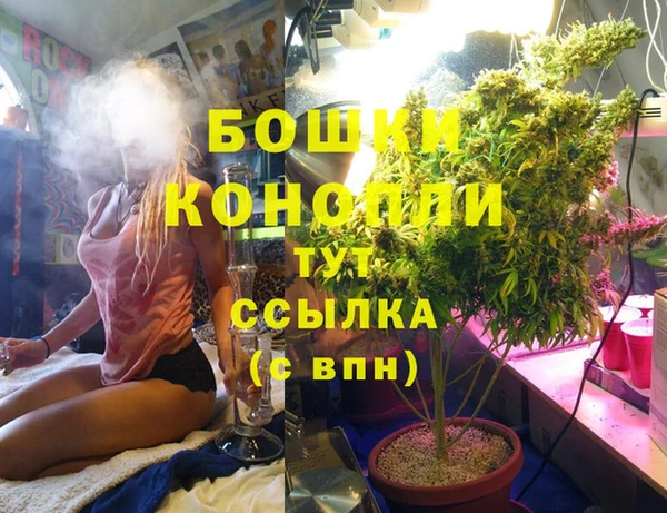 молекула духа Нефтекумск