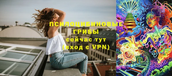 молекула духа Нефтекумск