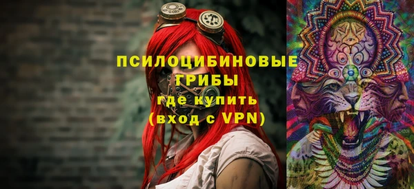 молекула духа Нефтекумск