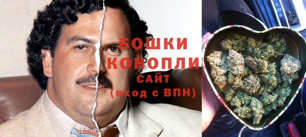 молекула духа Нефтекумск