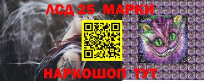 крисы Рыбинск