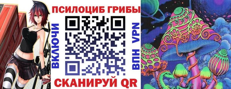 даркнет как зайти  Ржев  Псилоцибиновые грибы MAGIC MUSHROOMS 
