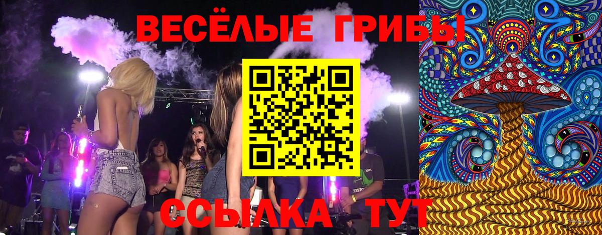 Ржев  Псилоцибиновые грибы Cubensis  Вход с VPN 
