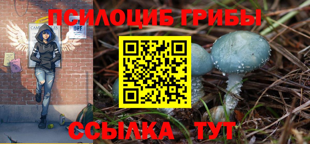Галлюциногенные грибы GOLDEN TEACHER Ржев